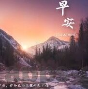 网传世界杯包厢-网传世界杯包厢,奢华体验与足球盛宴的完美结合